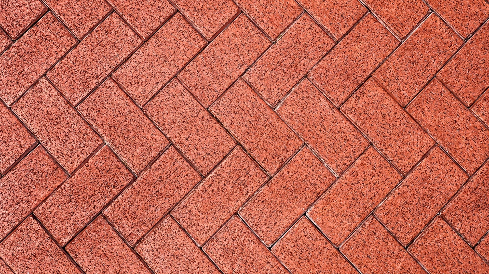 Close-up of sealed pavers showing wet-look finish